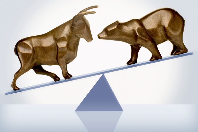 Bull and bear concept image