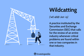 Wildcatting