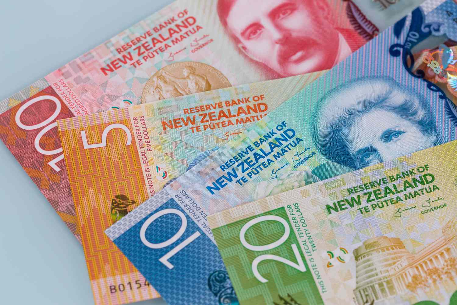 Four paper banknotes of New Zealand are pictured
