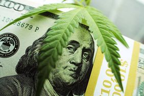 A 100 dollar bill and a marijuana leaf on top.