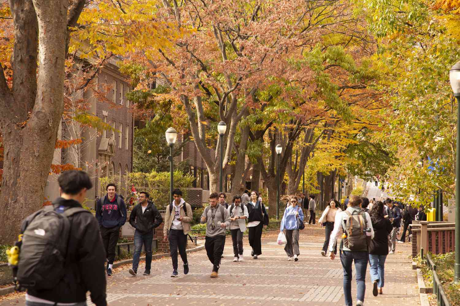 People walking on a tree-lined pathway on a campus during fall