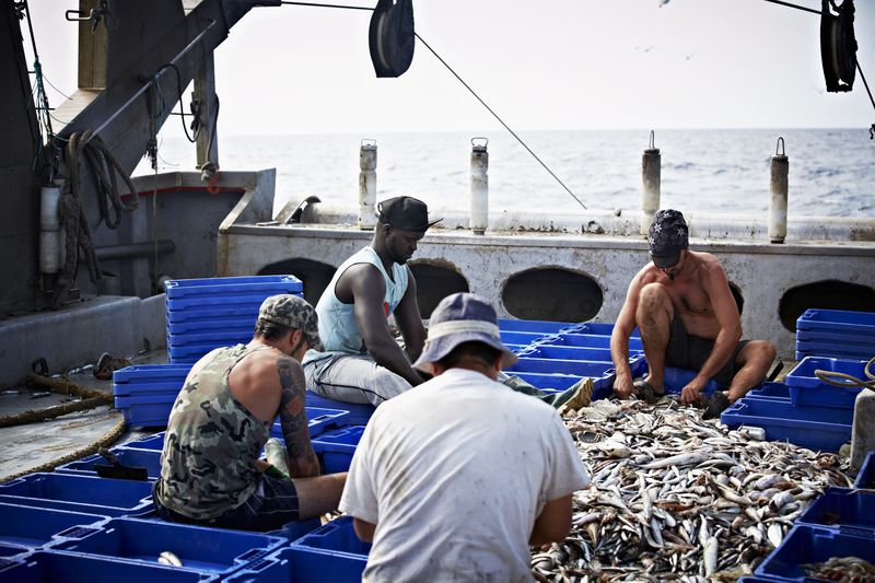 Fishermen working together on fish trawler