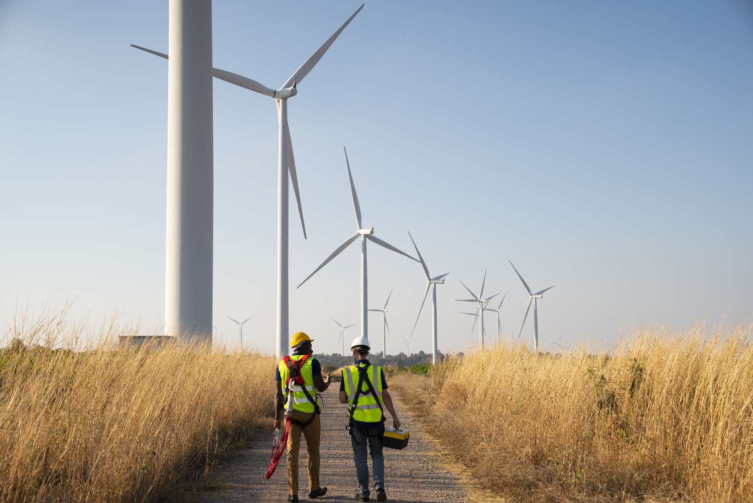 Two workers walking in a wind farm, renewable energy technology.