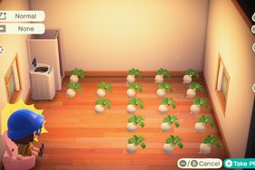 The third house upgrade in Animal Crossing.