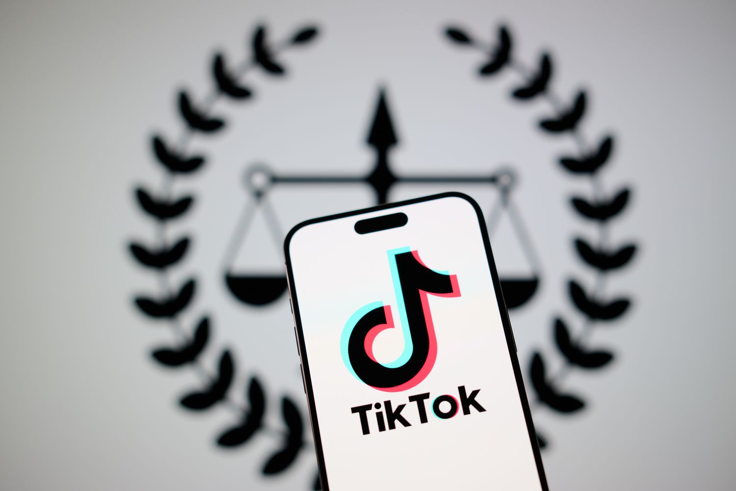 The TikTok app and logo are seen on a mobile device