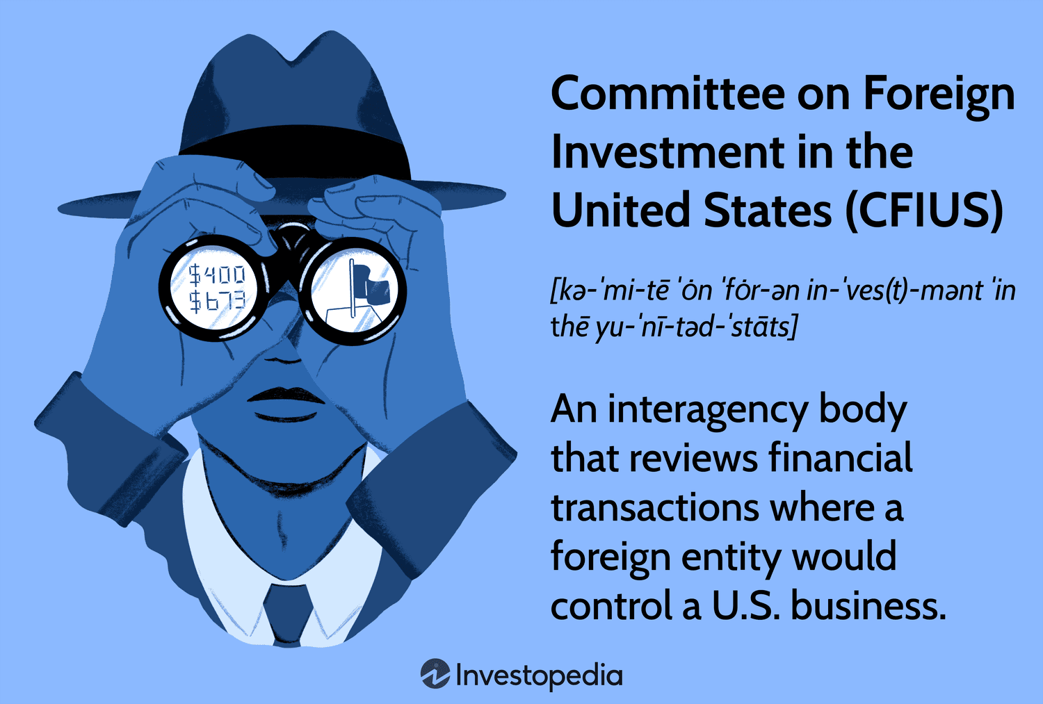 Committee on Foreign Investment in the United States (CFIUS)