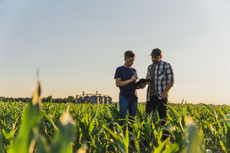 Man with tablet computer talks to another man in a corn field