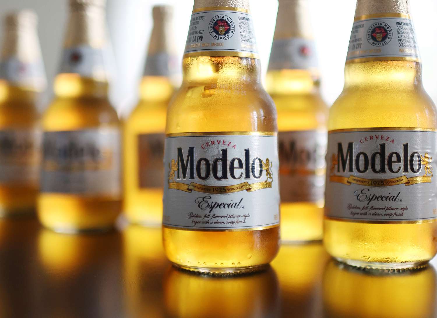 Modelo Especial