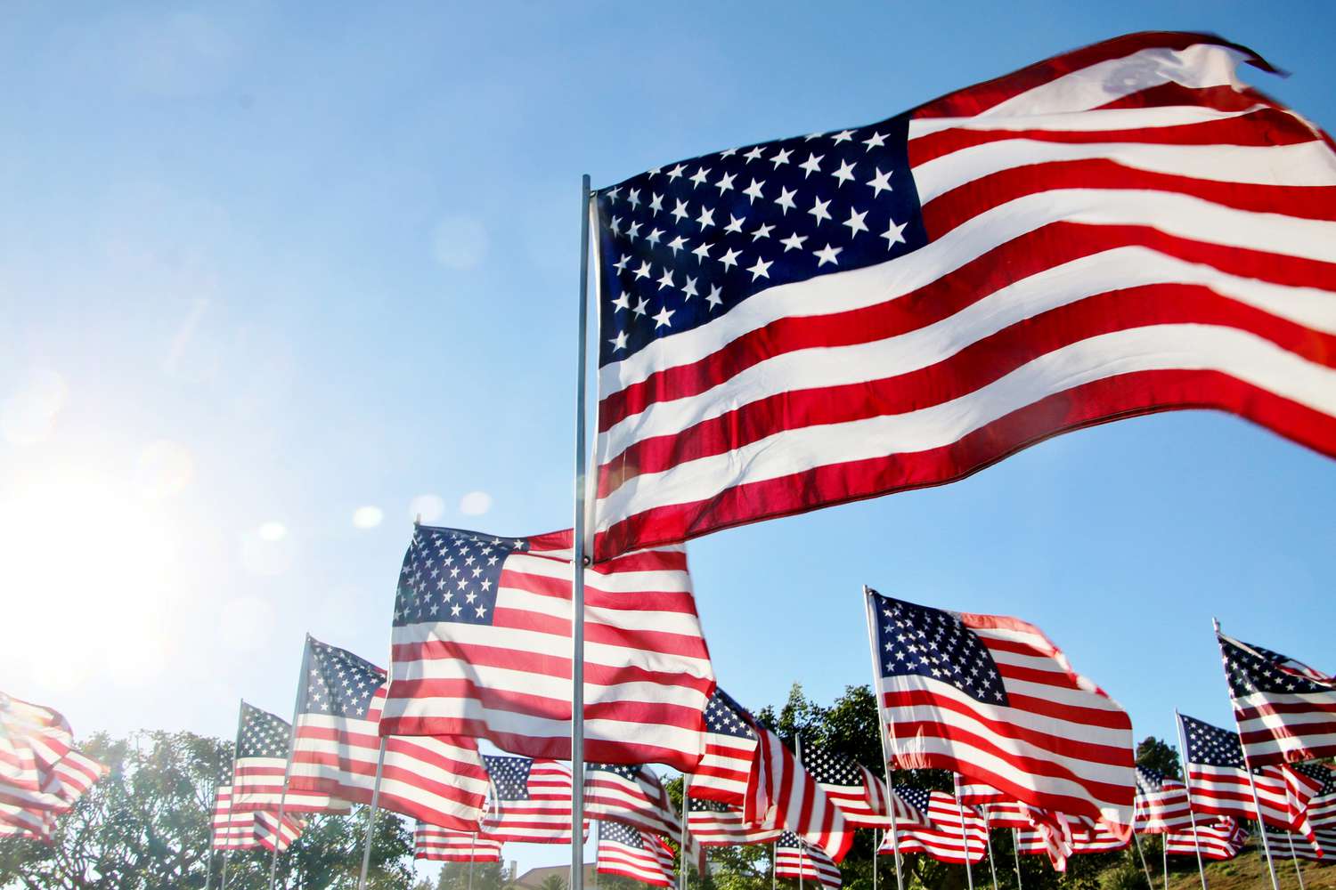 United States flags blow in the wind in Malibu, California 