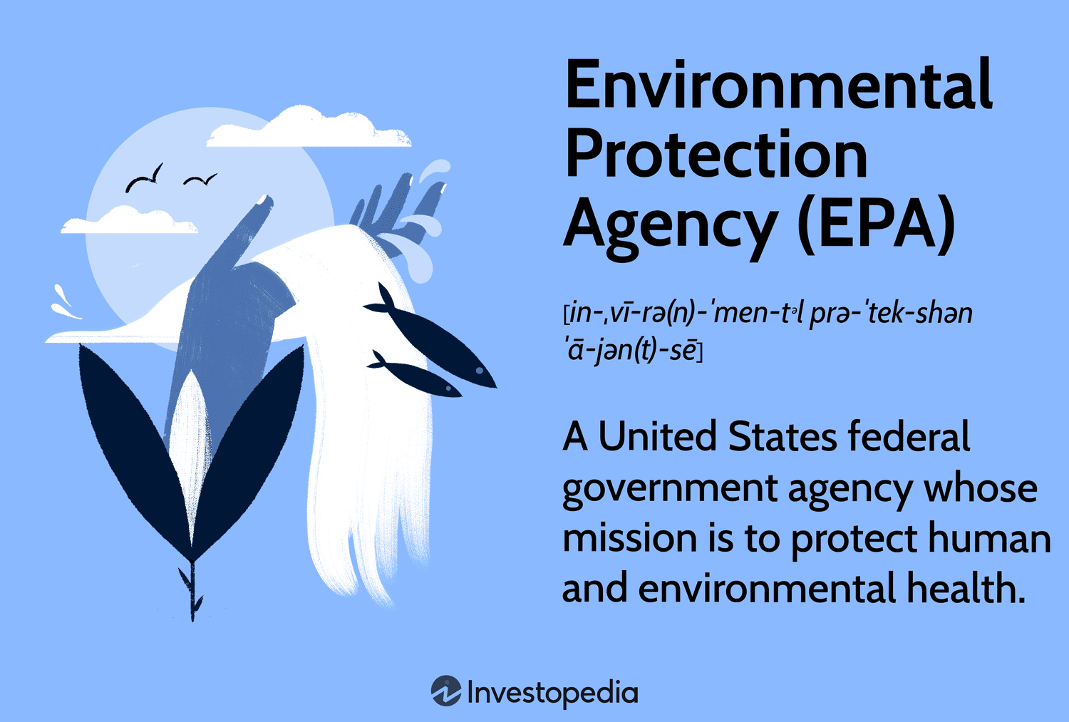 Environmental Protection Agency (EPA): A United States federal government agency whose mission is to protect human and environmental health.