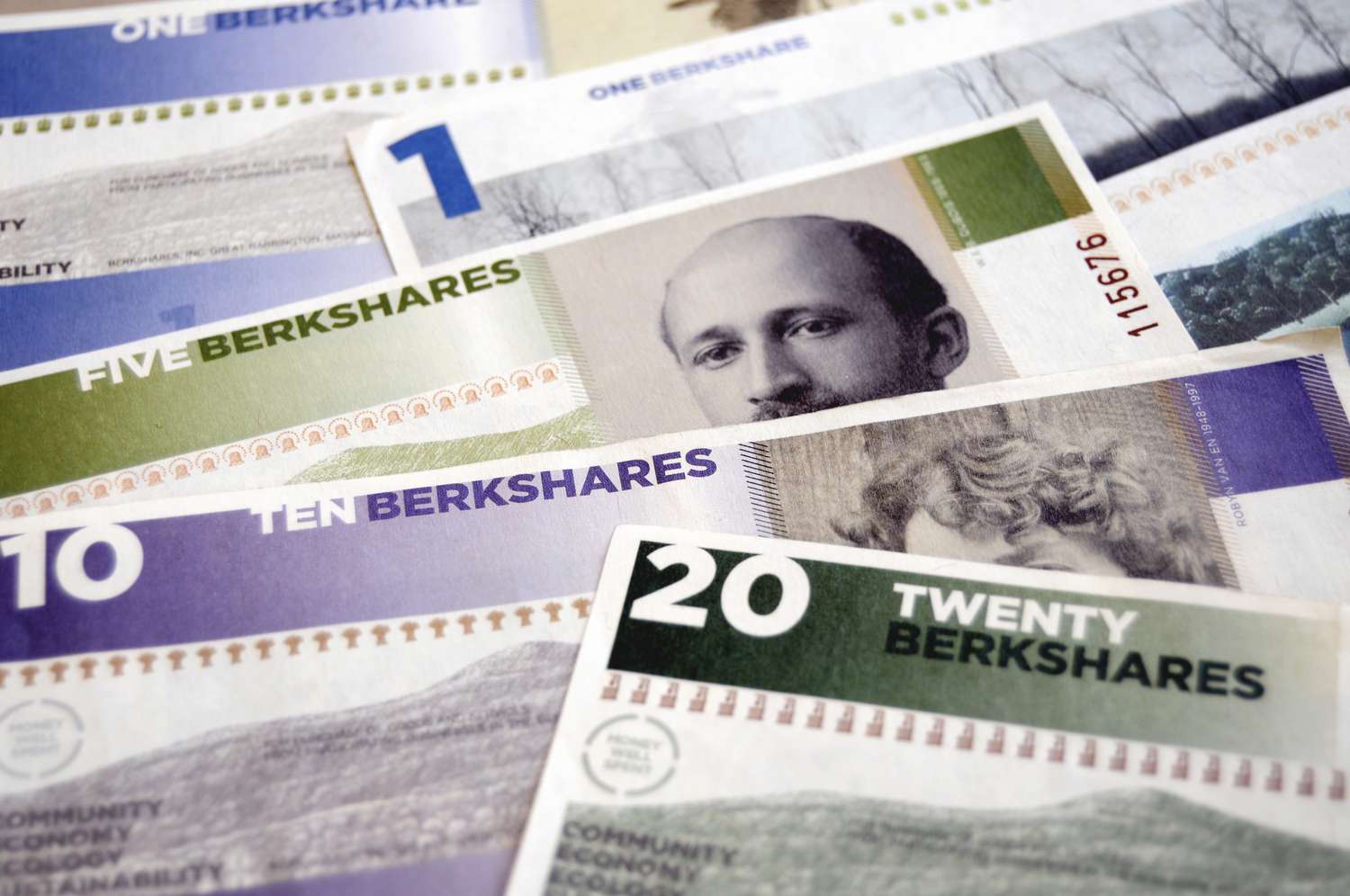 A stack of Berkshares local currency