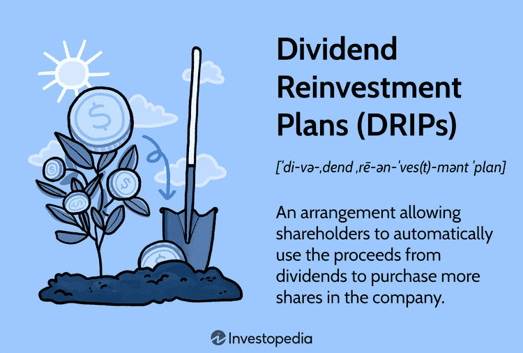 DRIPs: An arrangement allowing shareholders to automatically use the proceeds from dividends to purchase more shares in the company.