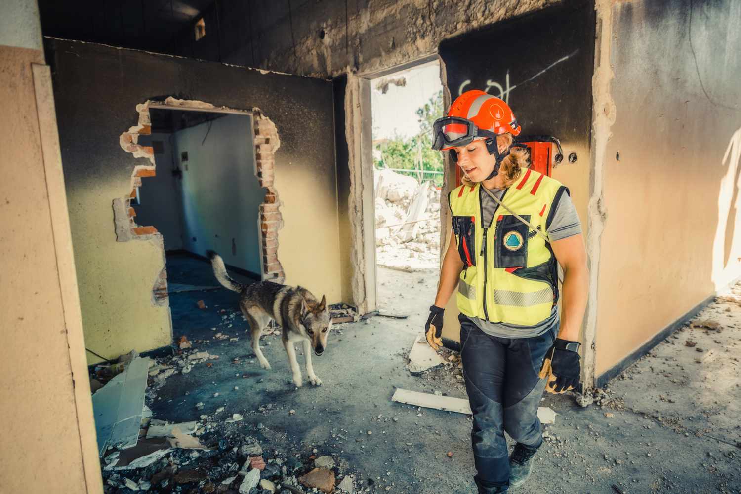 Rescuer search through a destroyed building with the help of rescue dogs.
