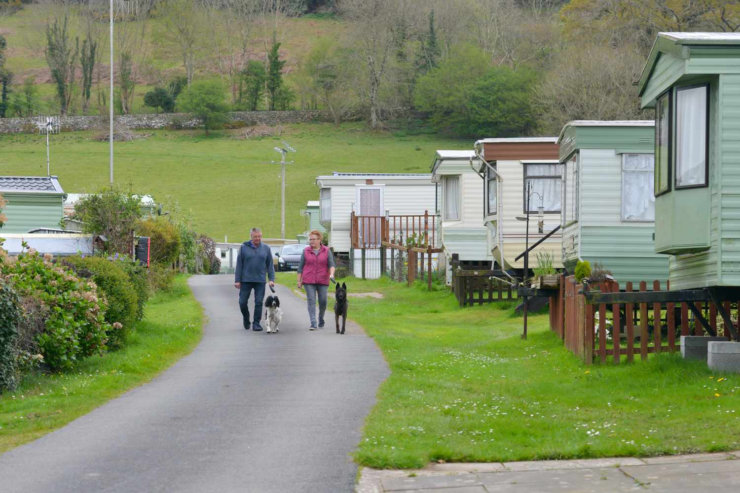Couple walking their dogs in a manufactured home park