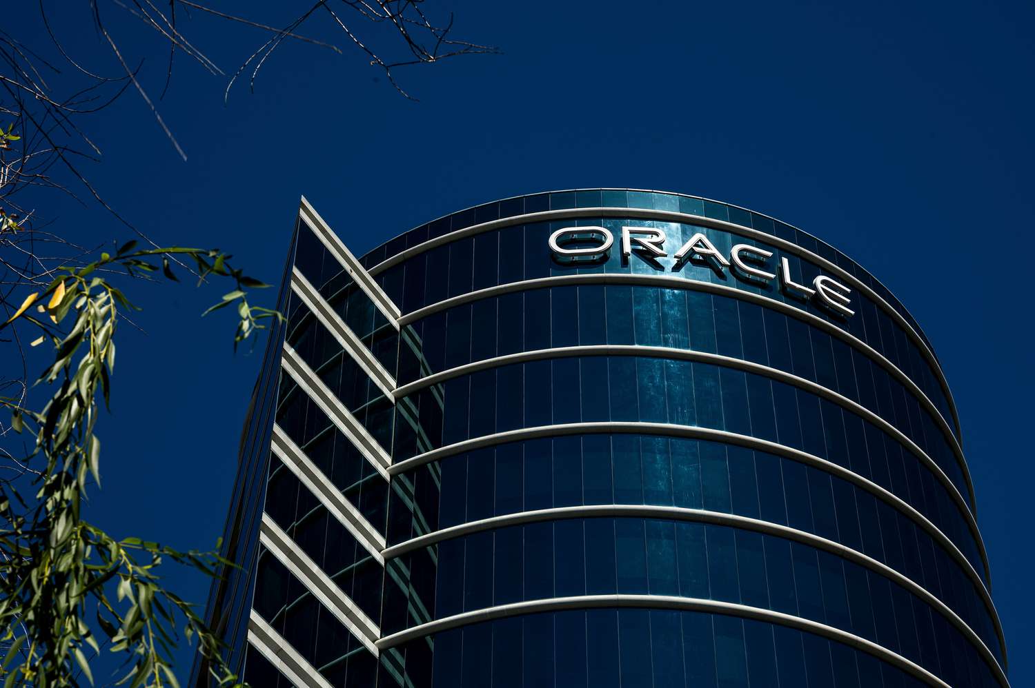 Oracle offices 