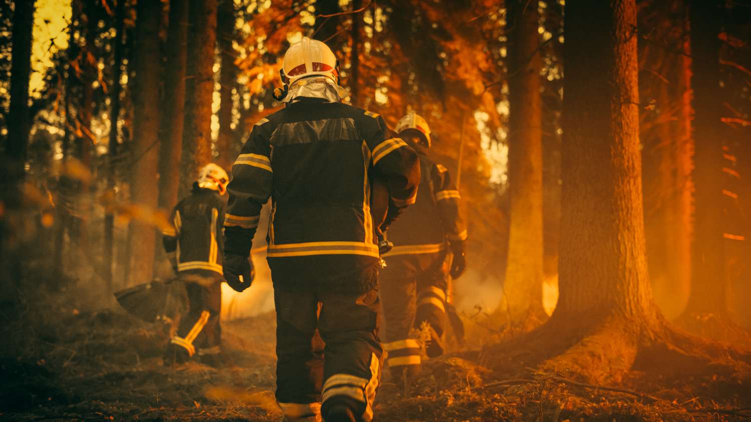 Firefighters fighting wildfires
