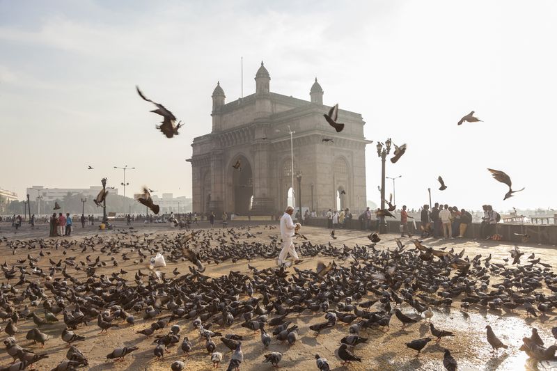 Pigeons at India Gate in Colaba, Mumbai, India