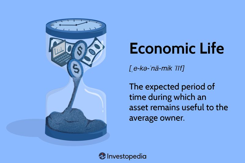 Economic Life
