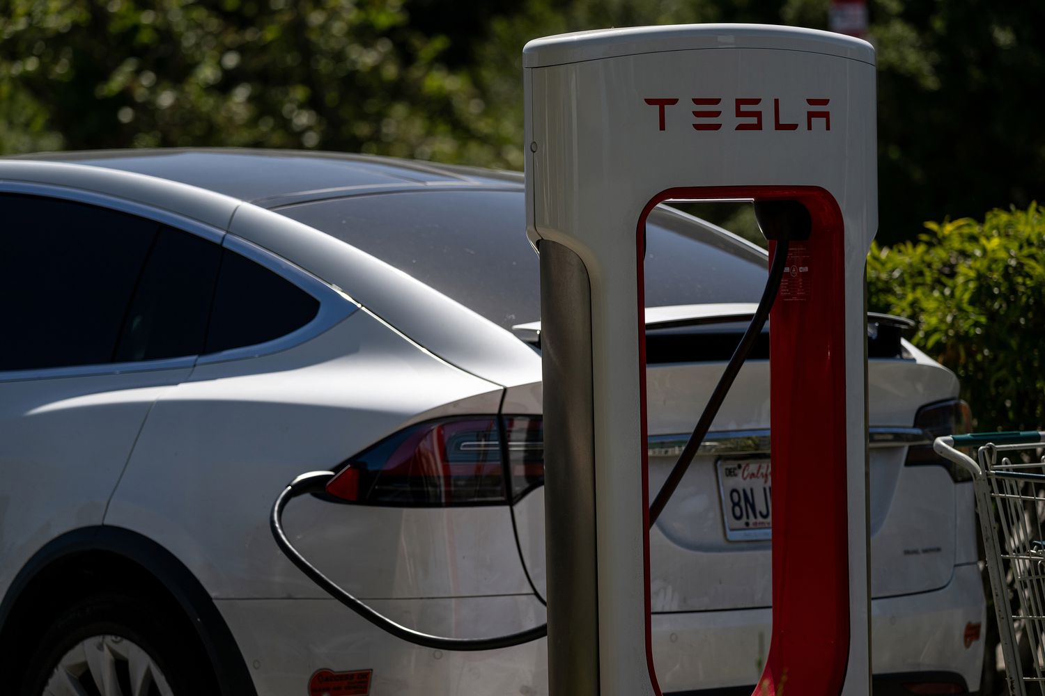 A white Tesla vehicle is connected to a Tesla charger.