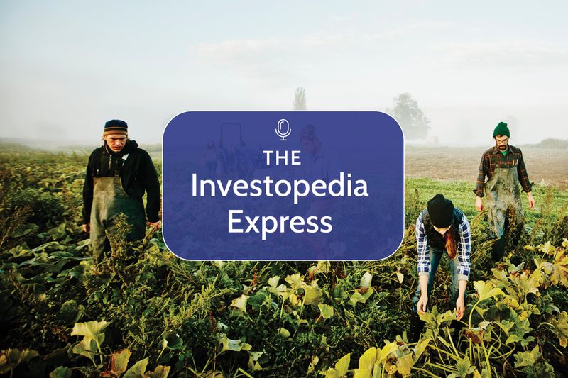 Three people working in a farmland 