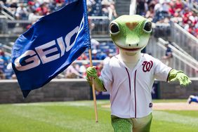 Geico gecko mascot