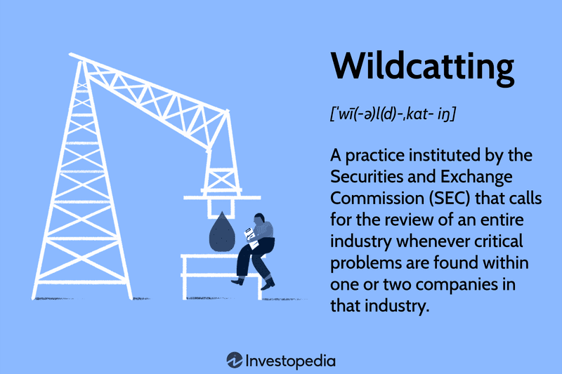Wildcatting