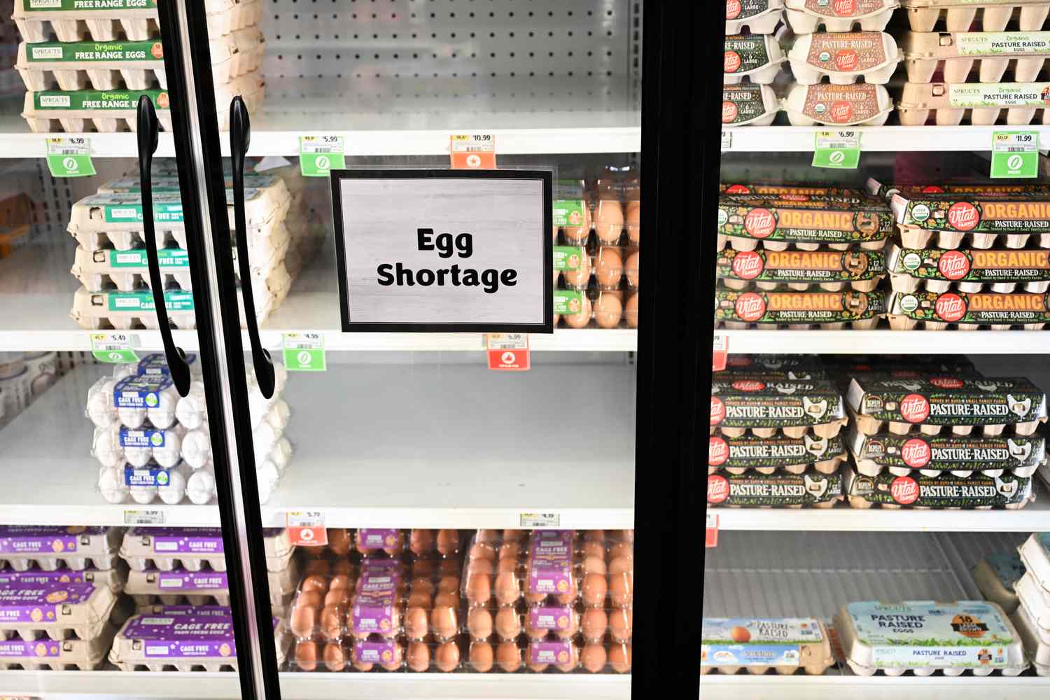 A retailer has empty shelf space in the egg section. 