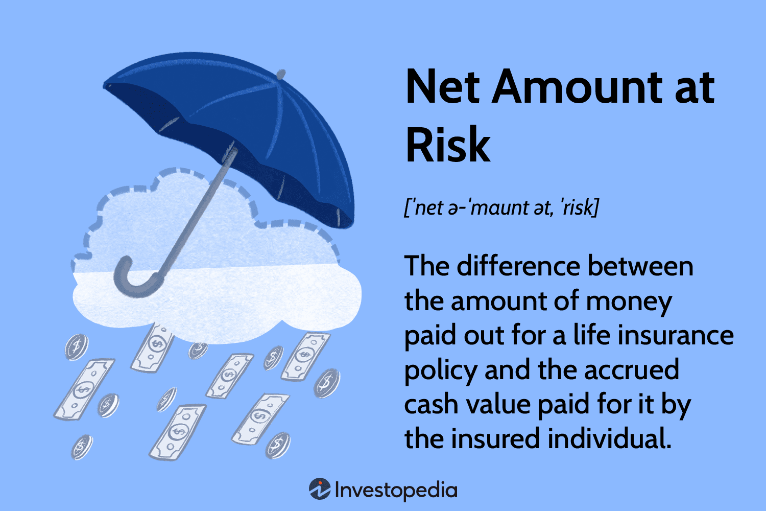 Net Amount at Risk