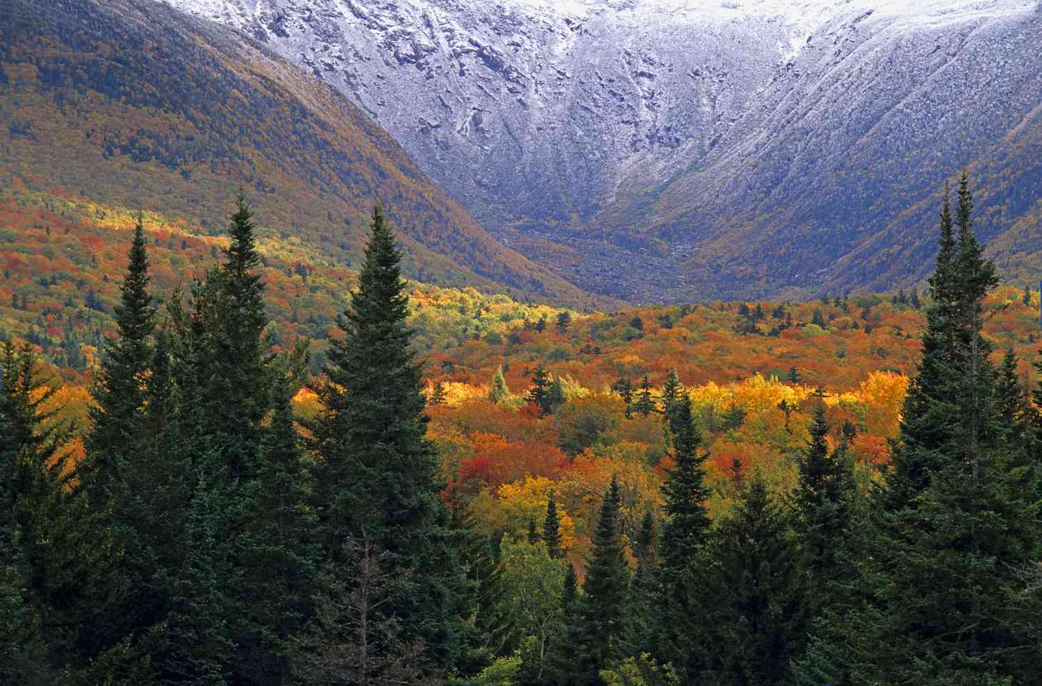 Autumn color and snow at foot of Mount Madison in Presidential Range of New Hampshires White Mountains. White Mountain National Forest, New Hampshire, USA