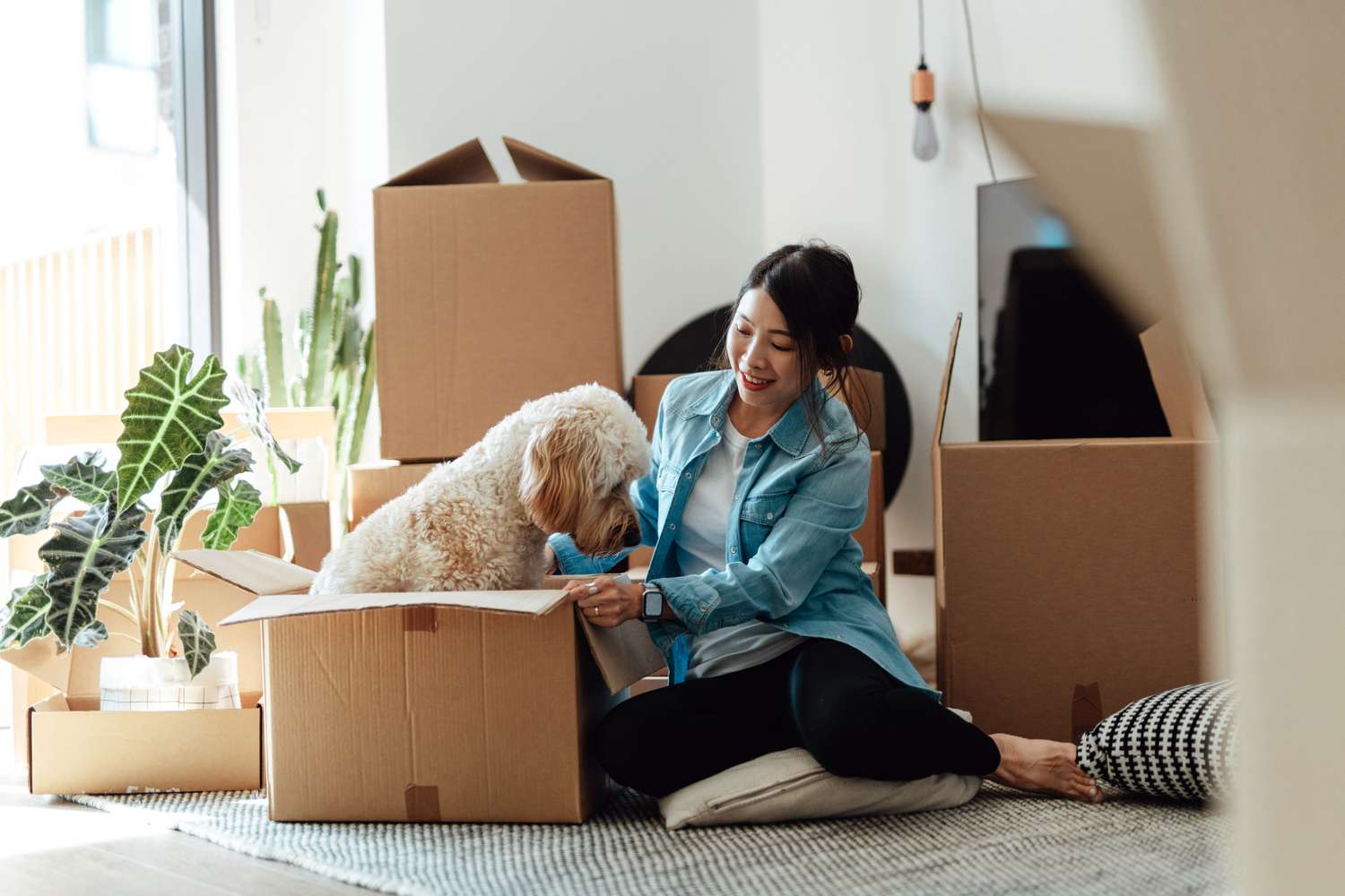 Woman plays with dog in front of moving boxes