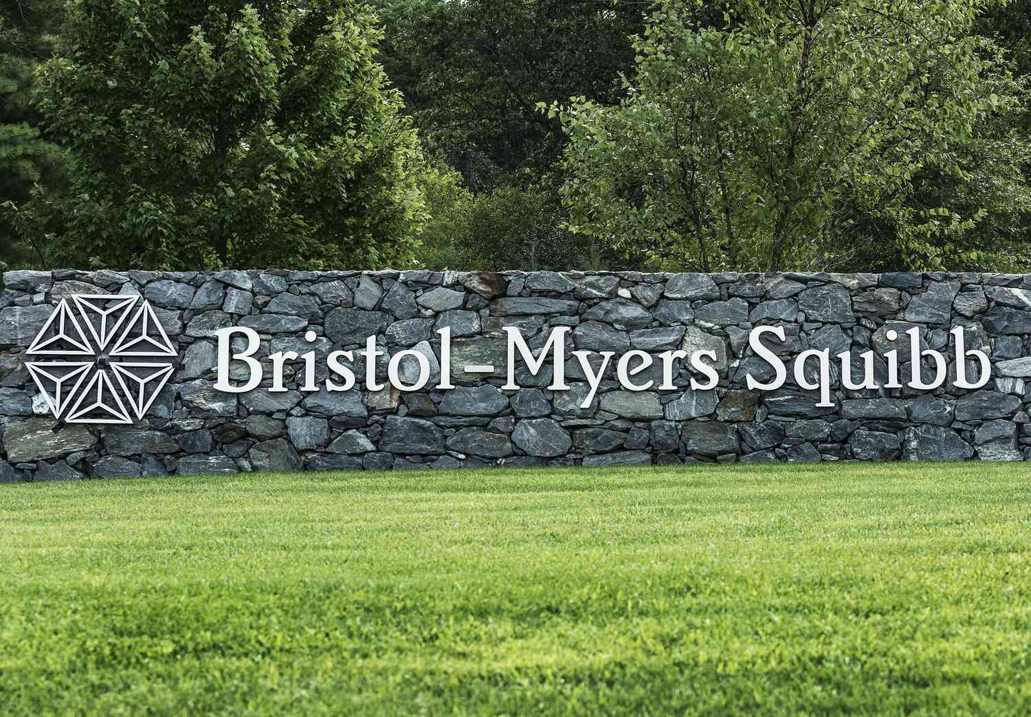 Bristol-Myers Squibb