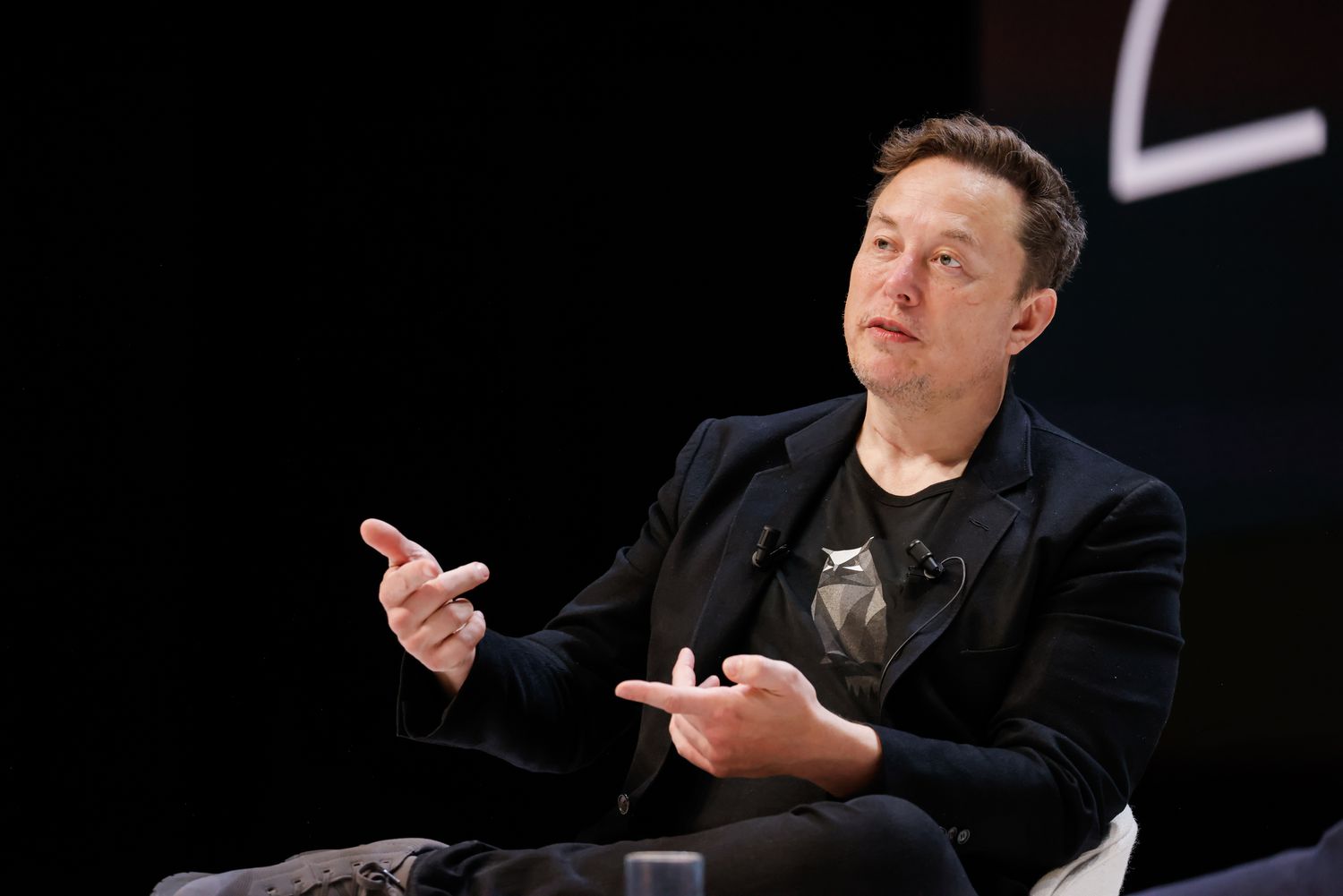 Elon Musk speaking at the Cannes Lions International Festival Of Creativity on June 19, 2024.