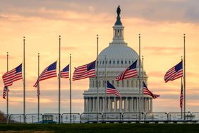 U.S. flags on the National Mall fly at half-staff with the U.S. Capitol in the background in honor of the passing of former President Jimmy Carter on Dec. 30, 2024, in Washington, DC