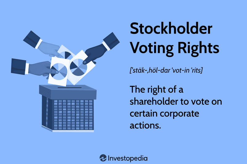 Stockholder Voting Rights: The right of a shareholder to vote on certain corporate actions. 