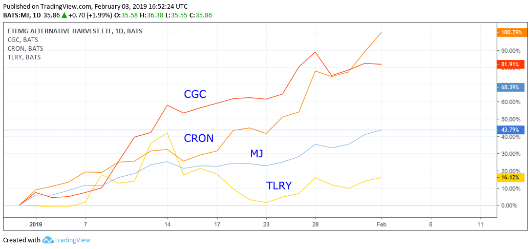 Year-to-date relative performance chart of cannabis stocks and ETF