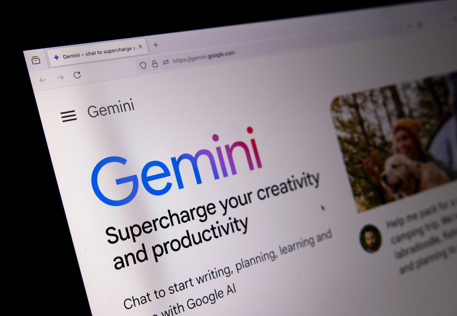 A Google Gemini generative artificial intelligence webpage is shown on a screen.