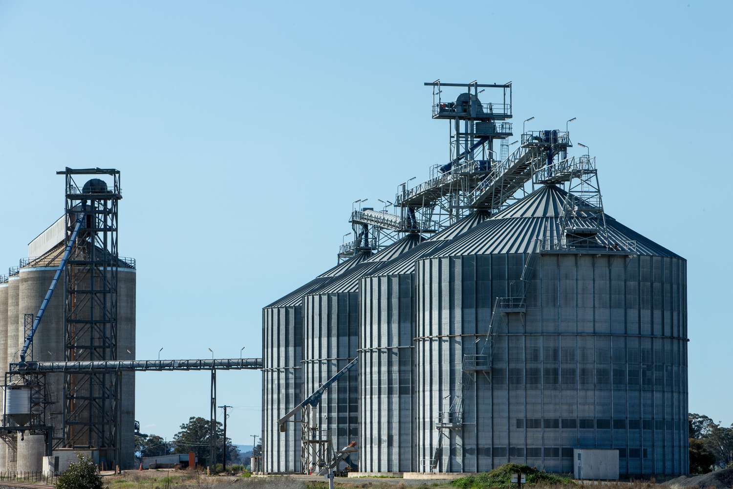 Multiple grain silos next to each other