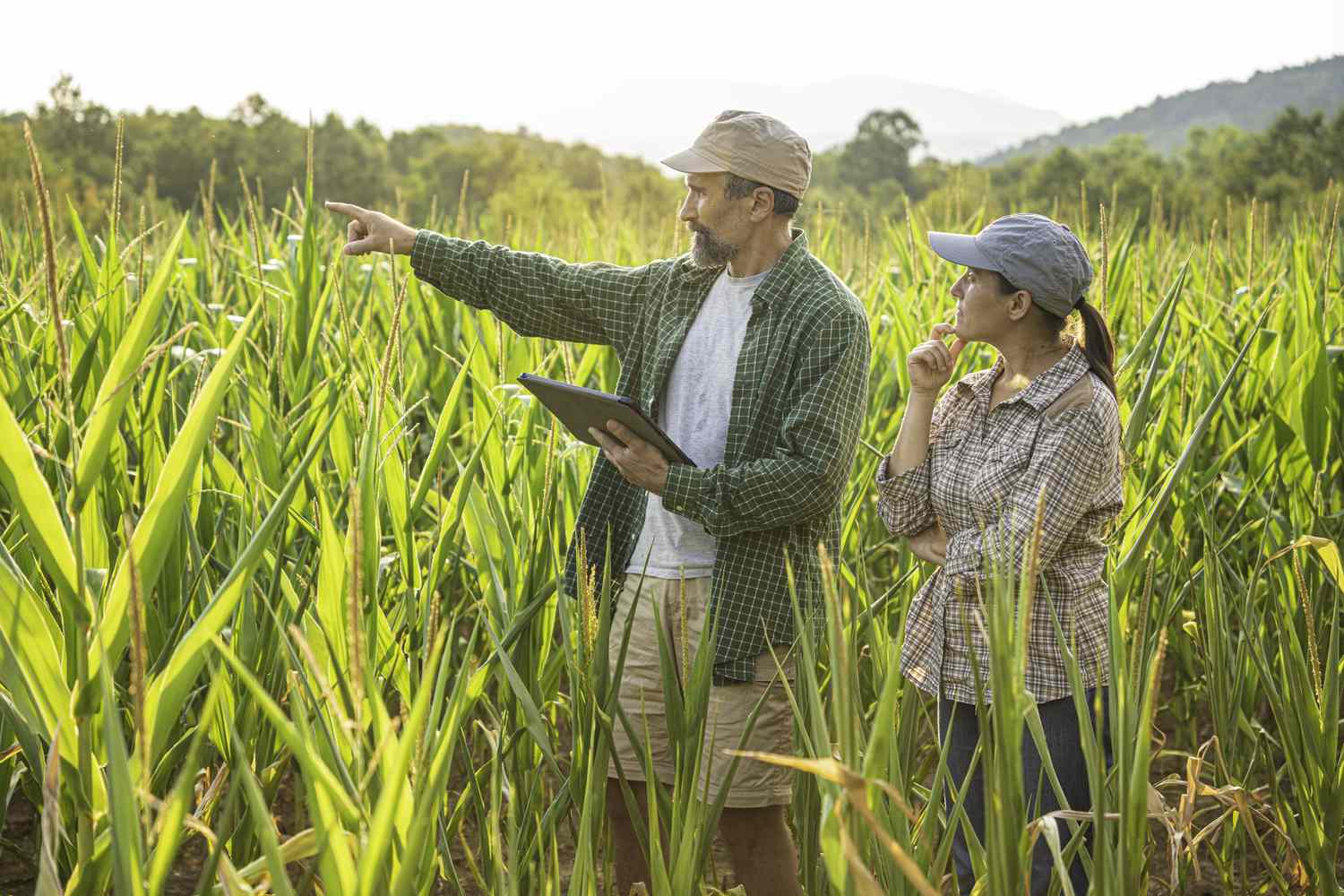 Two people checking out farm land while one of them holds a tablet.