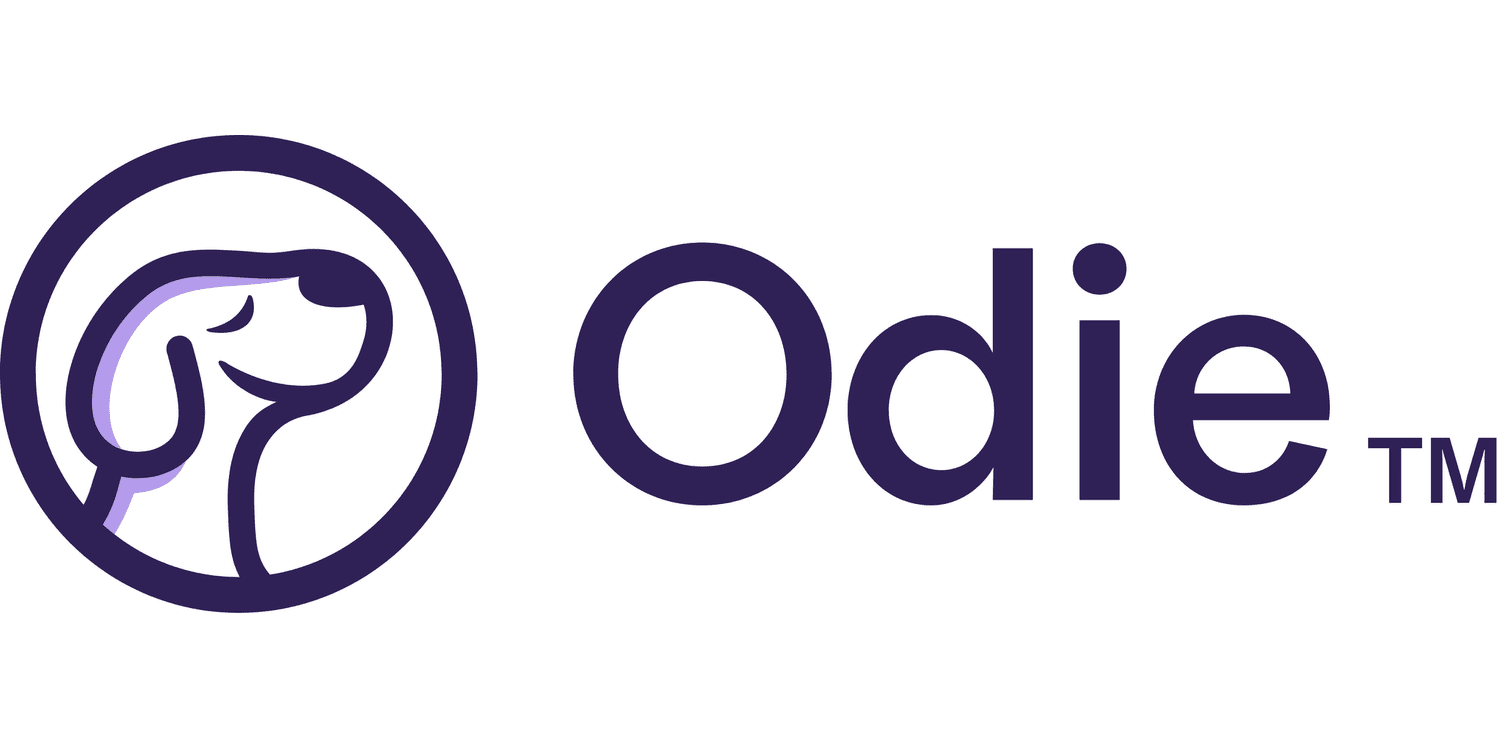 Odie Pet Insurance