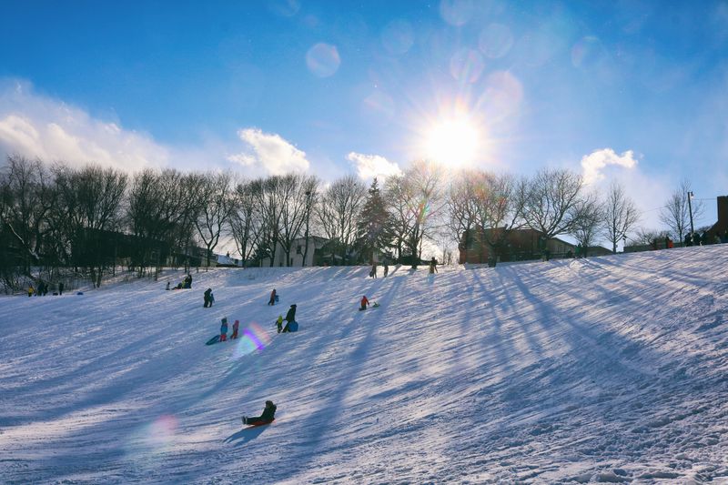 Winter Fun in Parks of Toronto (Brief - 'Its Cold Outside')