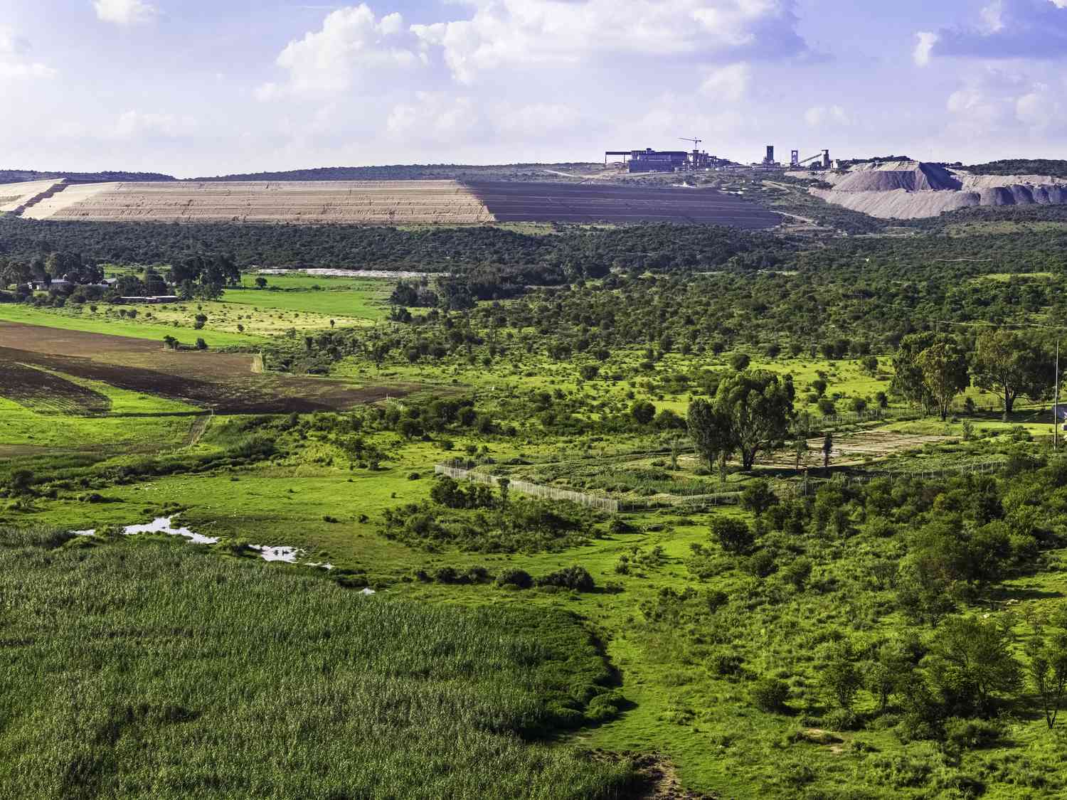 Harmony Gold, Savuka Mine