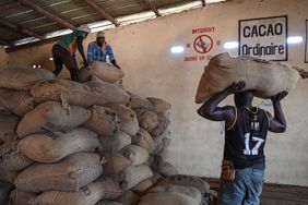 Workers load sacks of cocoa beans in a warehouse