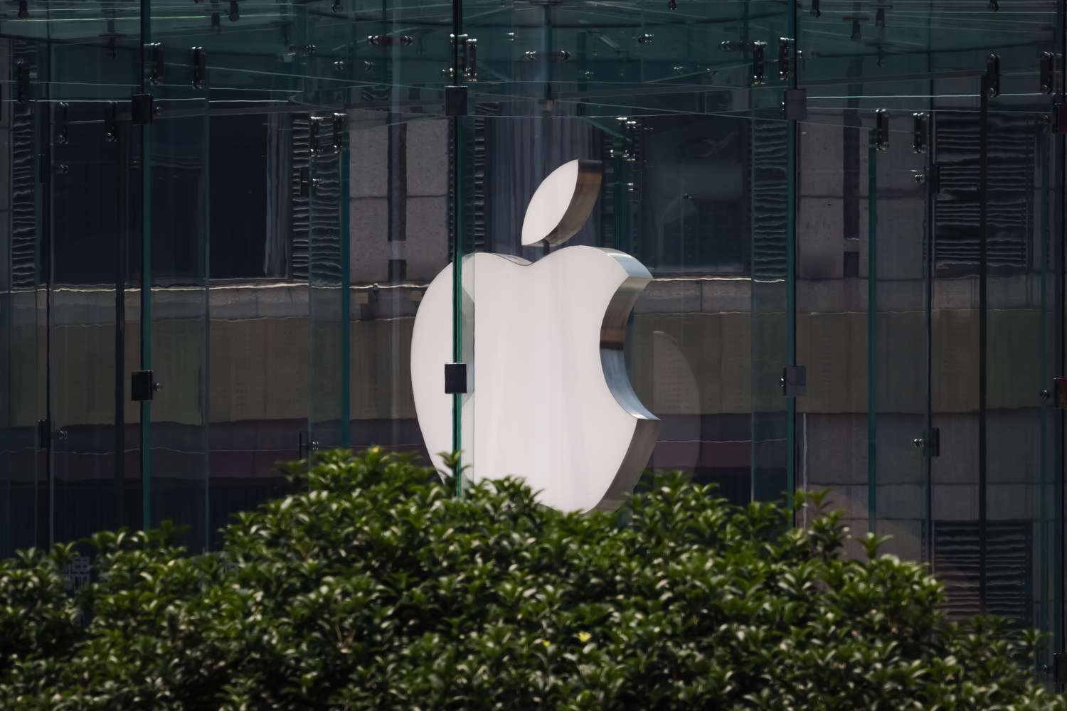 The Apple logo is displayed on the glass facade of an Apple Store, partially obscured by green foliage in the foreground, on May 20, 2025 in Chongqing, China.