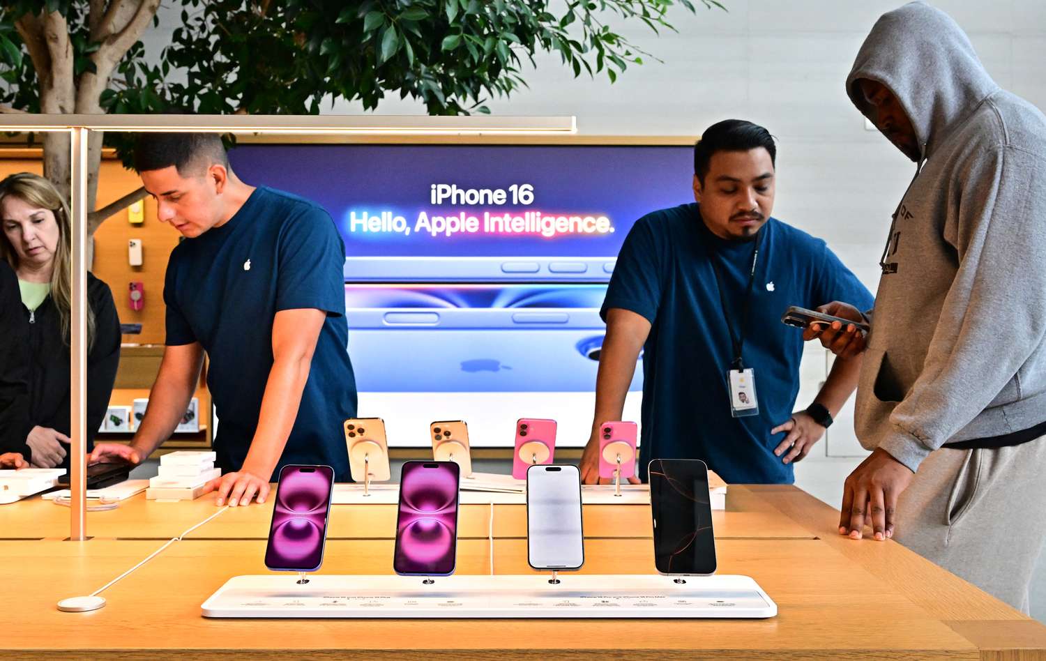 Apple iPhone 16 models on display