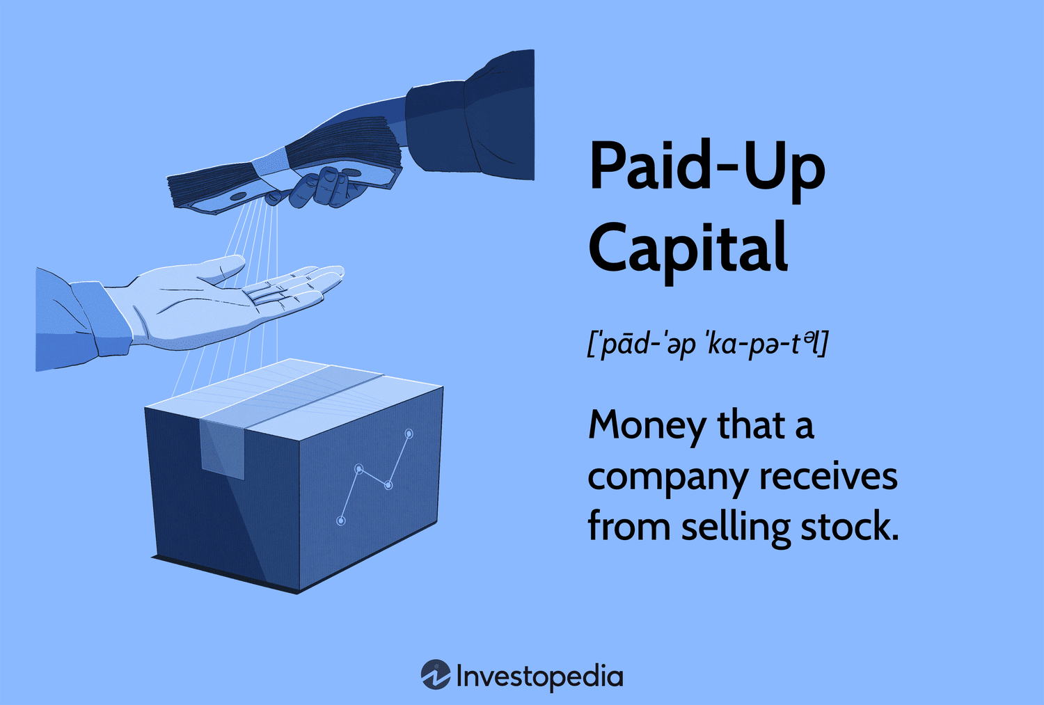 Paid-Up Capital