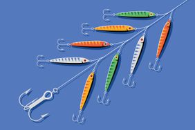 A branch-like arrangement of fishing lures with multiple hooks on a blue background, symbolizing various income options to have on the line for retirement.