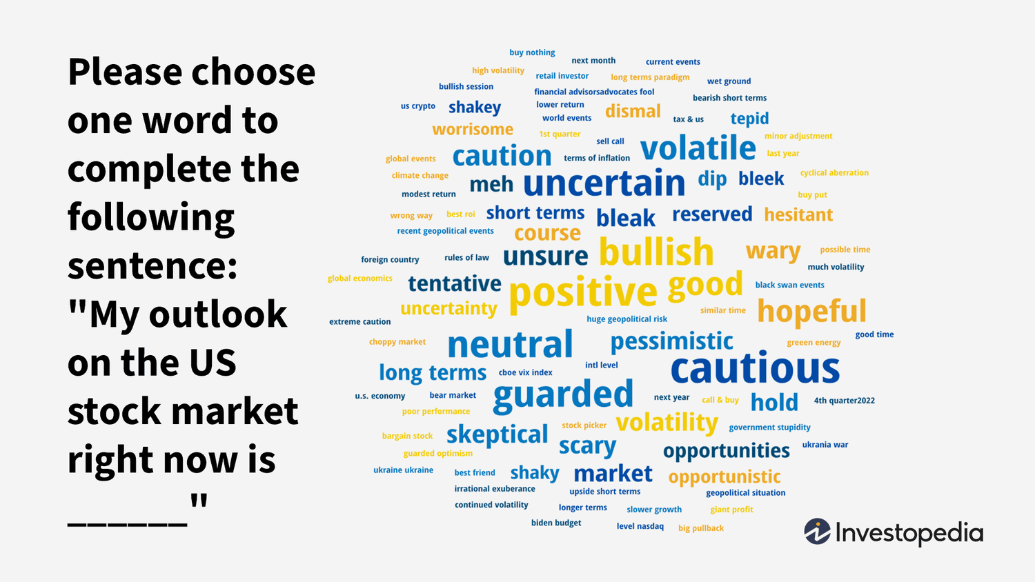 Investor Survey