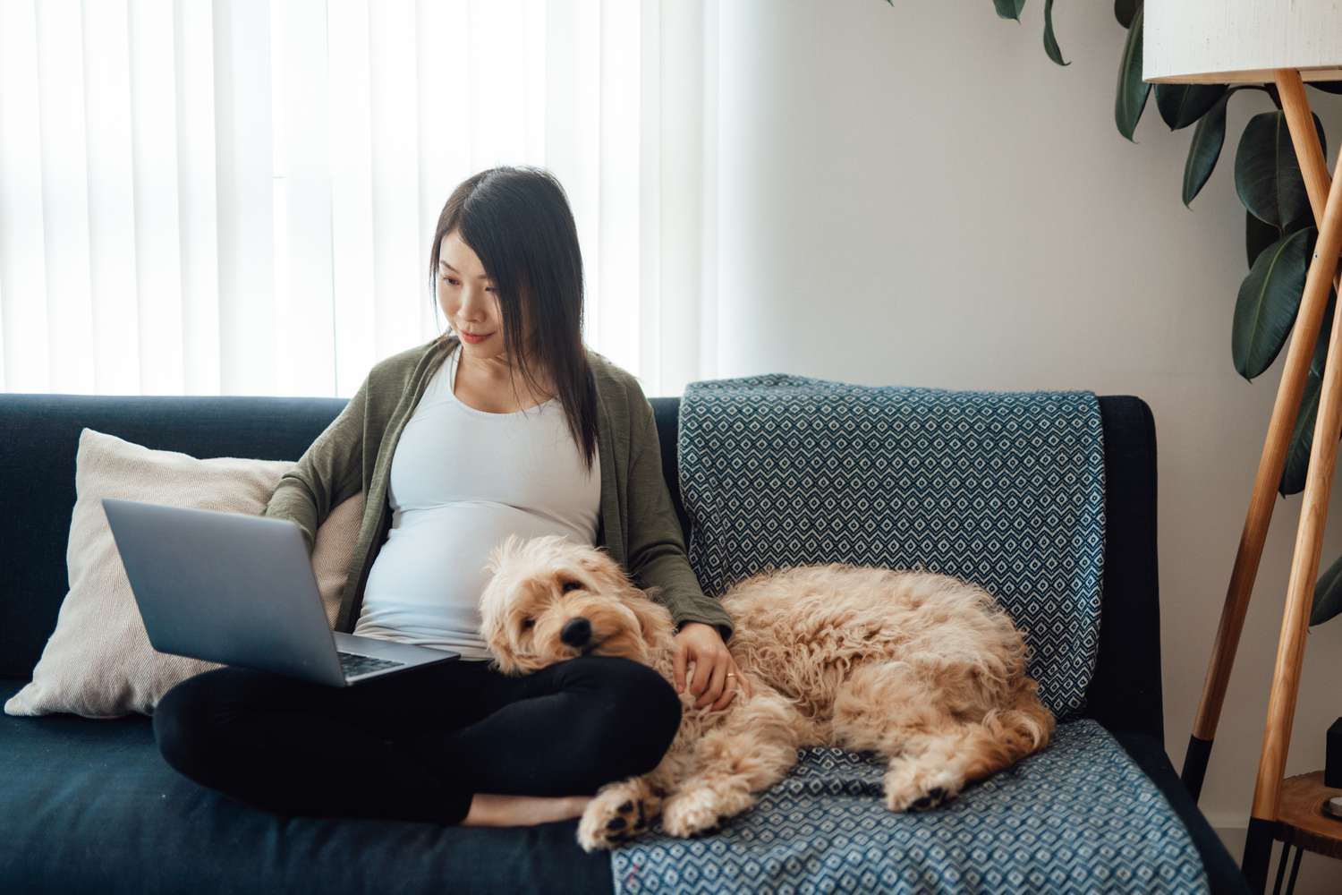 Asian pregnant woman at laptop on couch with dog