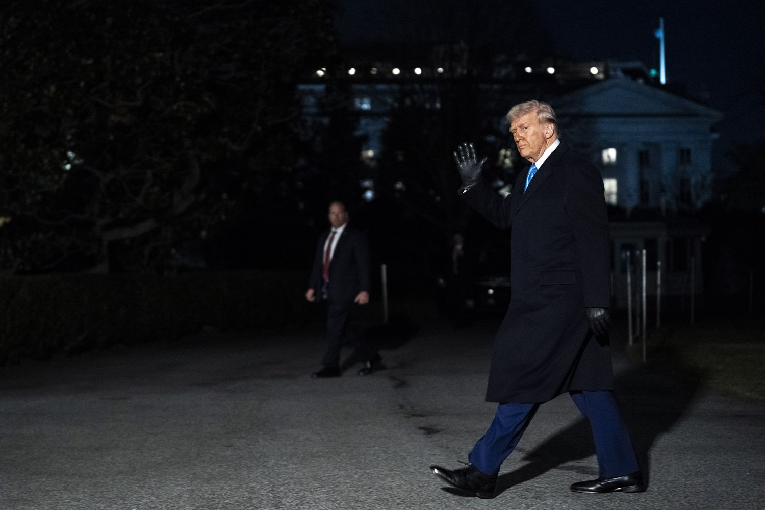 President Trump in Washington, D.C., on Feb. 19.