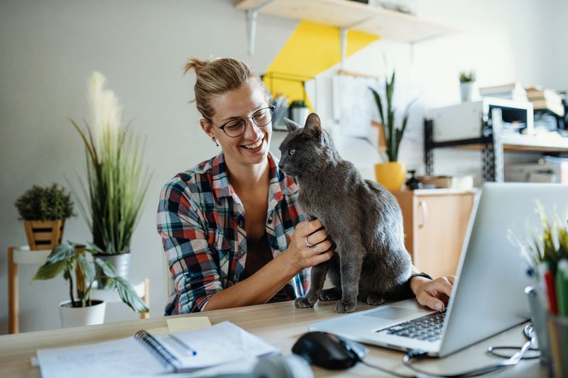 Woman working on laptop computer in a home office while petting her cat